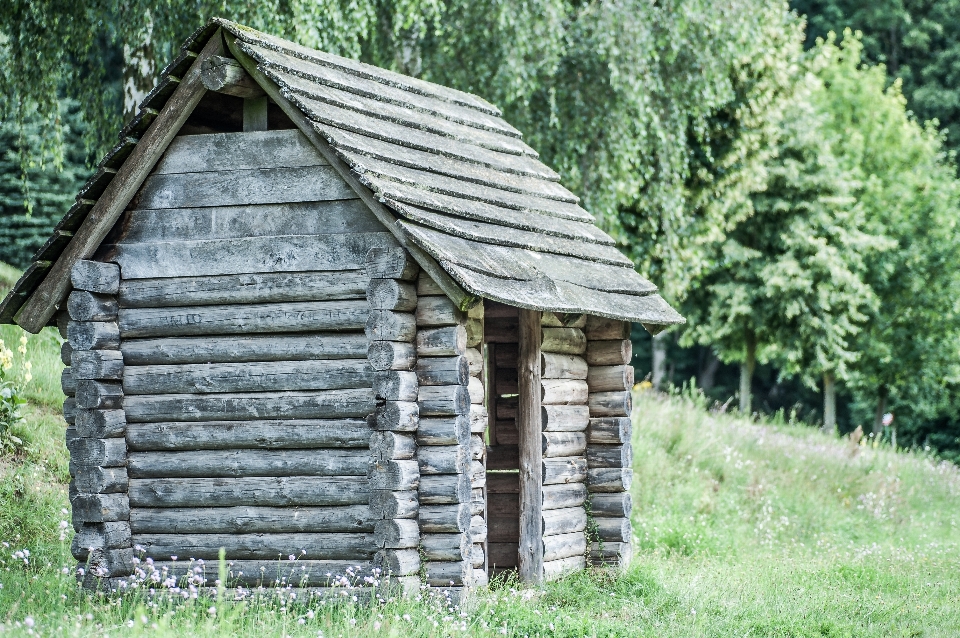 Forest wood building old