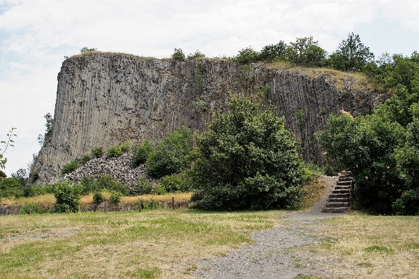 Tree rock trail hill Photo