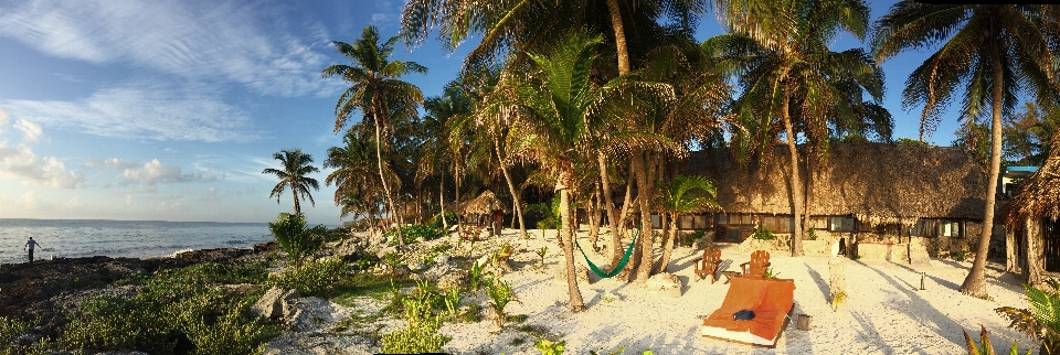 Plaża świt wakacje dżungla