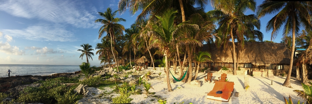 Beach dawn vacation jungle Photo