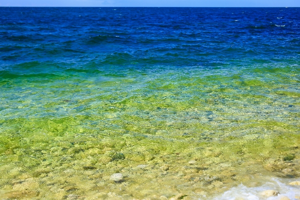 Beach landscape sea coast Photo