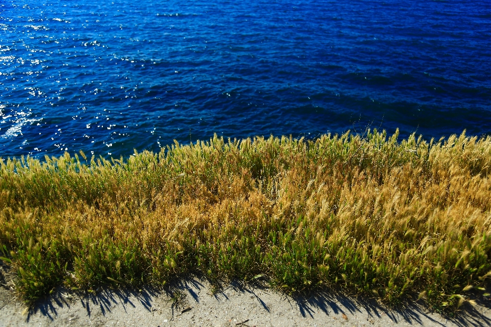 ビーチ 風景 海 海岸