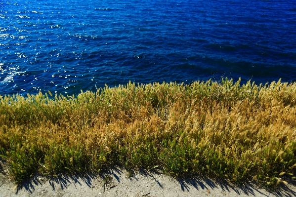 Beach landscape sea coast Photo