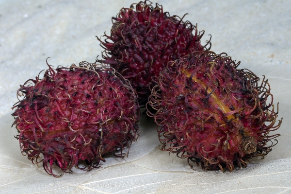 Plant fruit flower food Photo