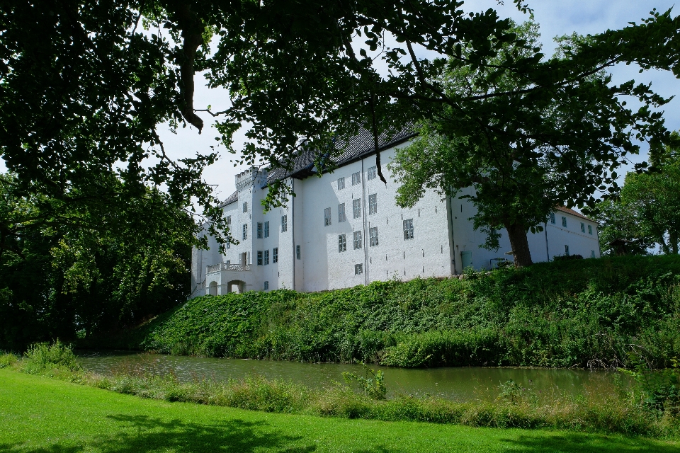 Baum die architektur rasen villa
