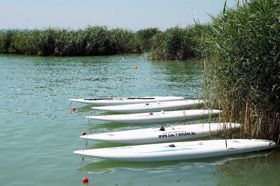 Bateau lac canoë roseau
