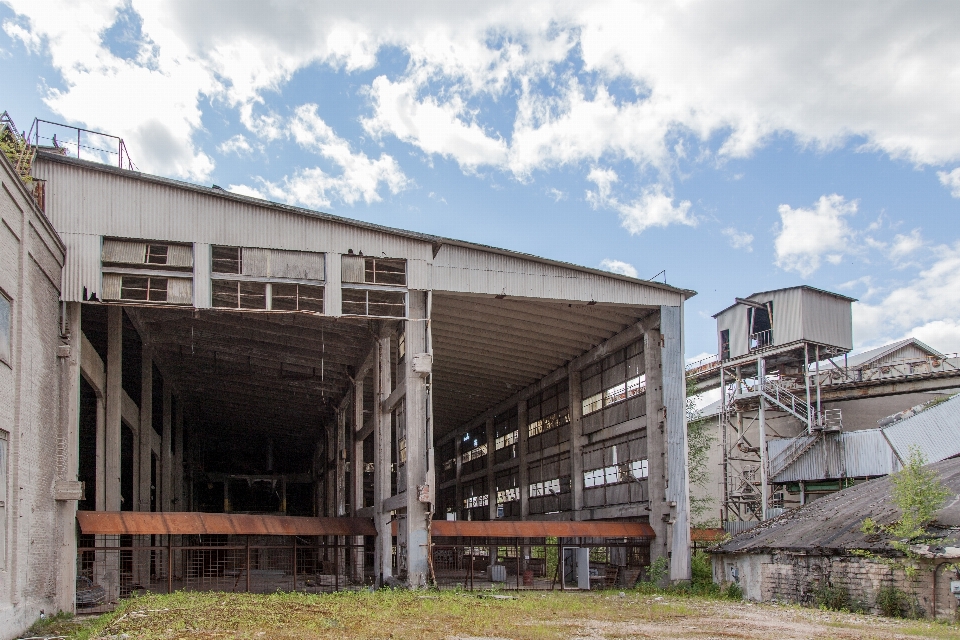 Grungy architecture structure plant