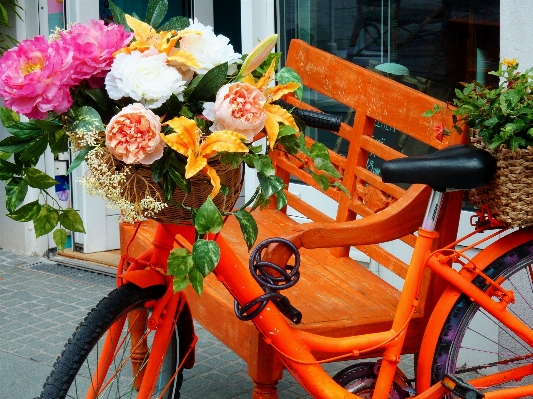 Plant wheel flower bike Photo