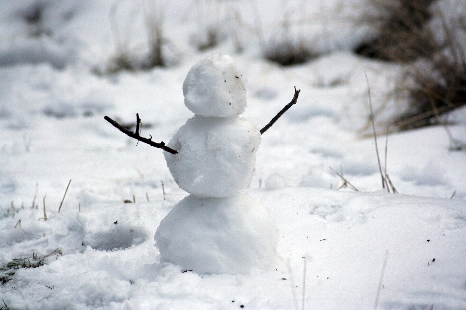 Natura śnieg zimno zima