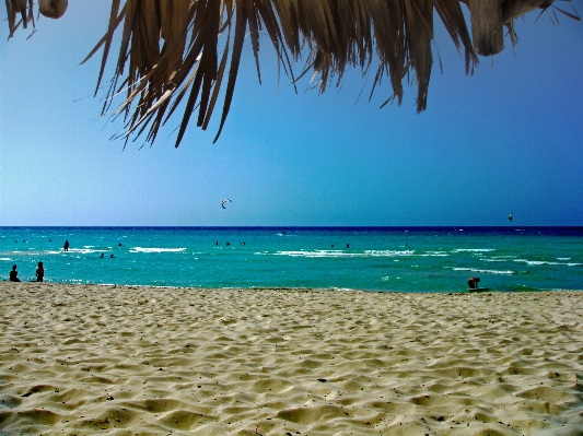 Beach sea coast sand Photo