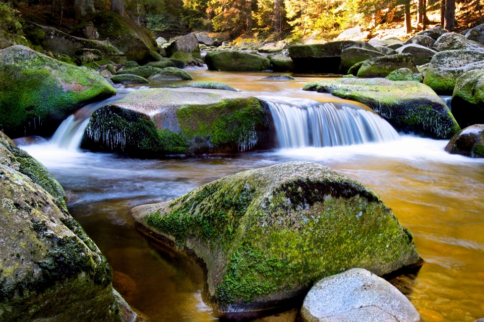 Landscape water nature forest