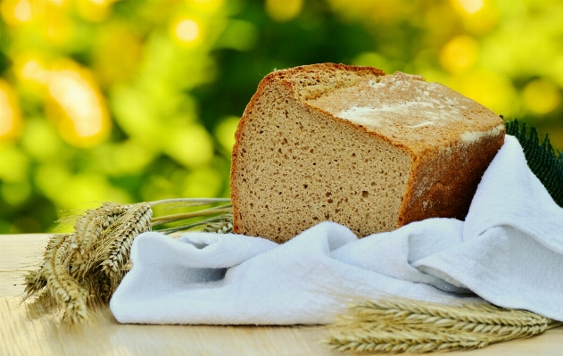 Barley food produce craft Photo