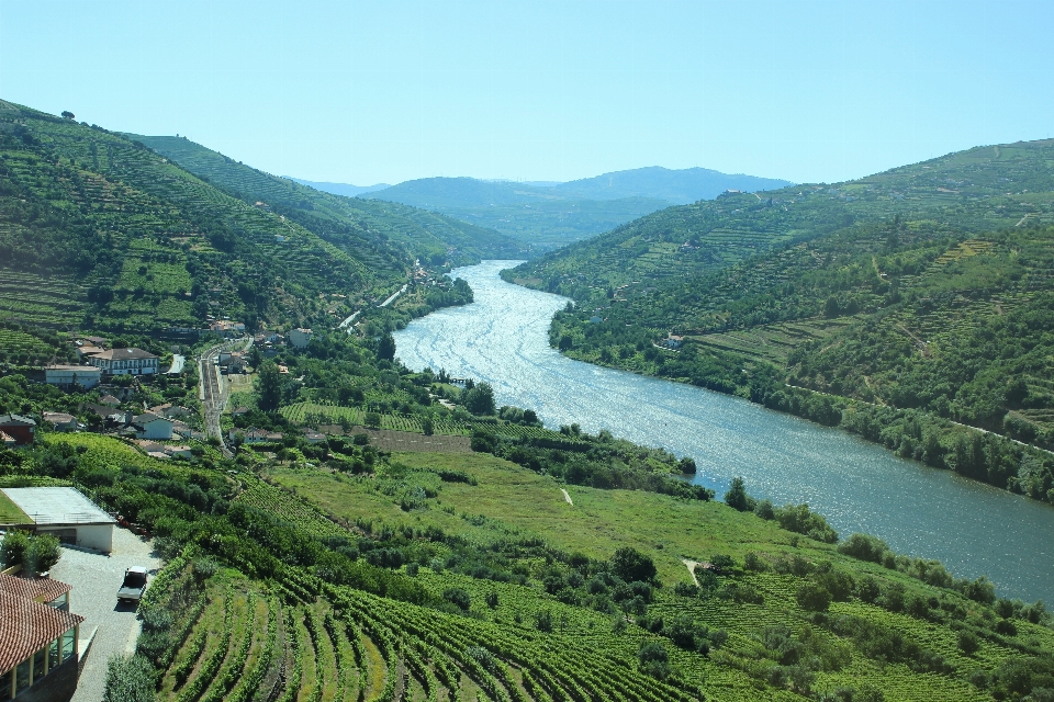 Paysage montagne vignobles colline