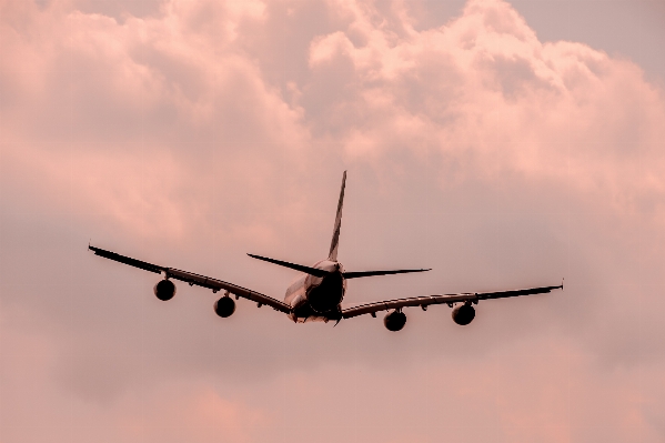 Wing sky traffic fly Photo