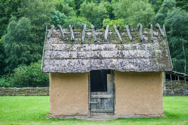 森 木 建物 小屋 写真