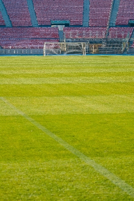 Grass structure field lawn Photo