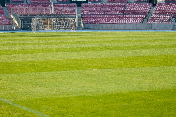 Grass structure field lawn Photo