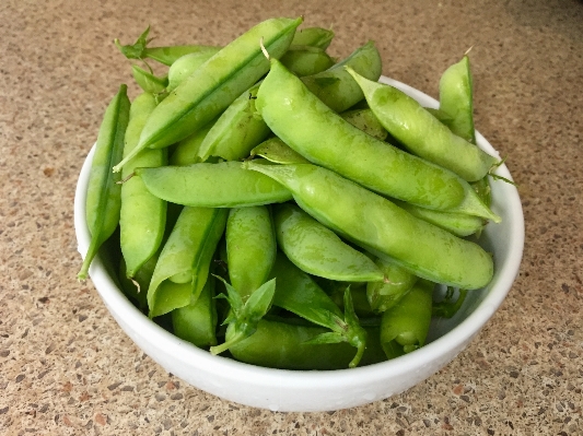 Plant fruit sweet ripe Photo