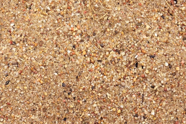 Sand structure texture food Photo