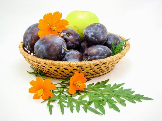 Apple branch plant fruit Photo