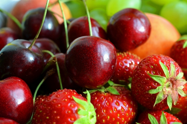 Anlage frucht essen produzieren Foto