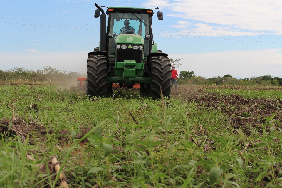 Trator campo fazenda pradaria
