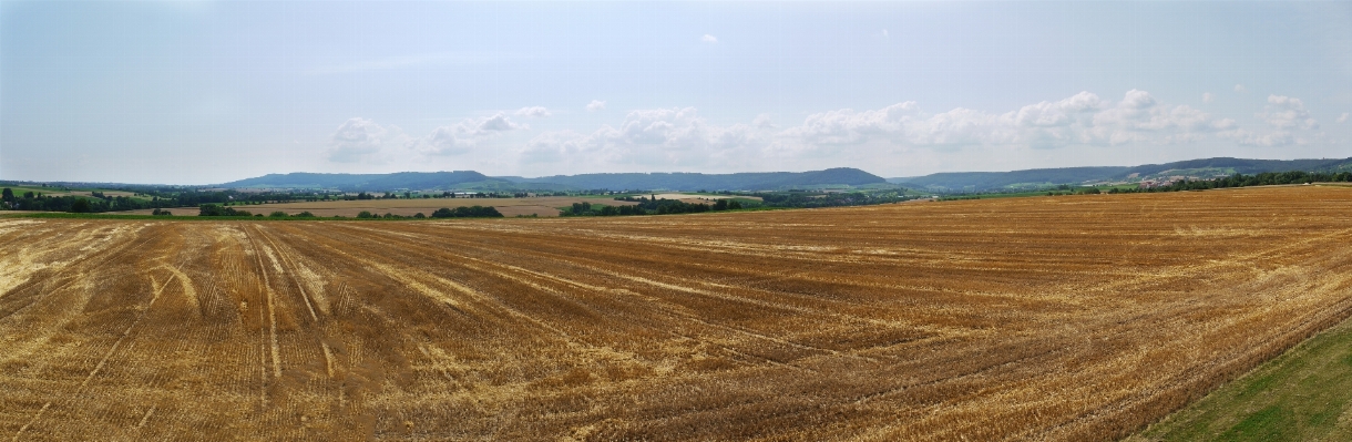 Landscape field farm prairie Photo