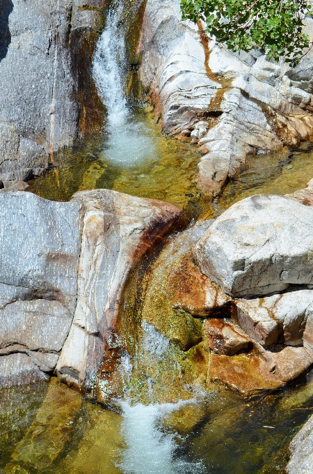 風景 木 水 自然