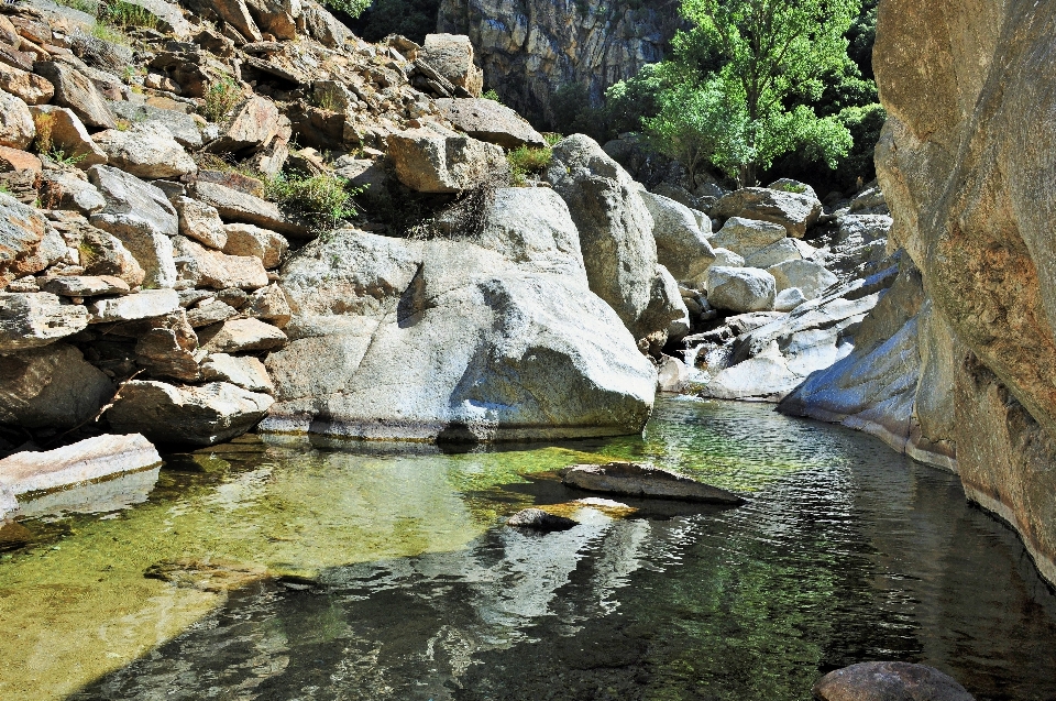 Ağaç su doğa rock