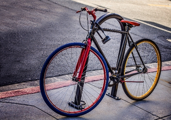 Street wheel sidewalk bicycle Photo