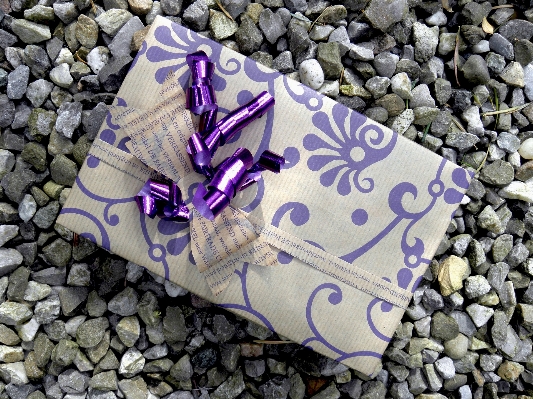 Flower purple gift pattern Photo