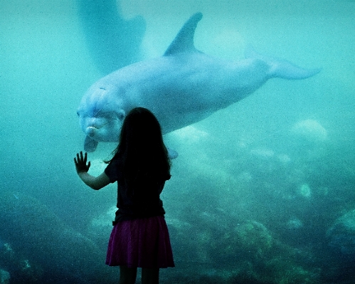 海 海洋 女の子 水中 写真