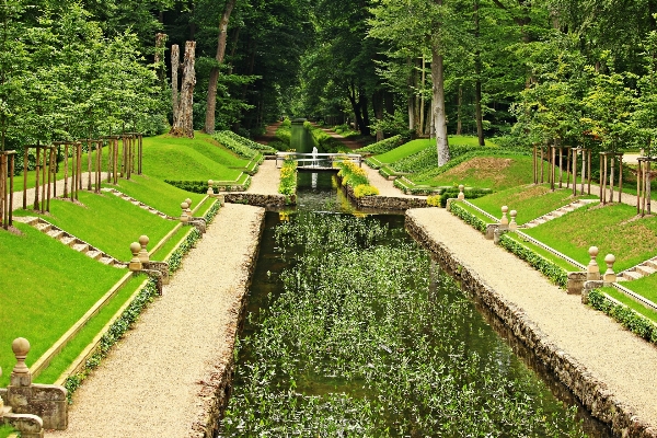 Foto Albero acqua erba campo