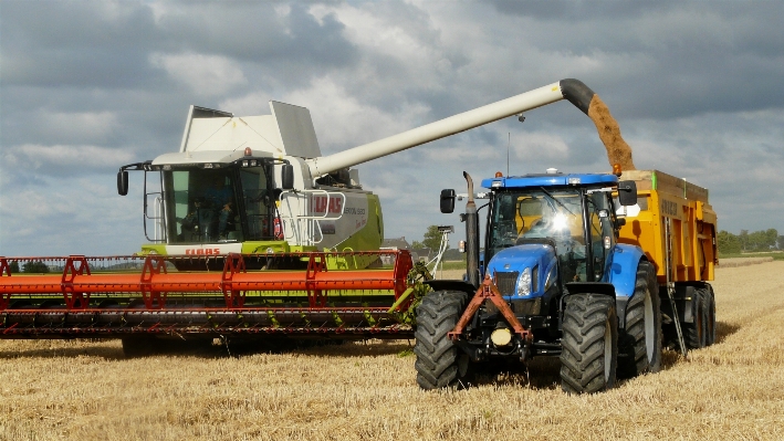 Tractor field farm grain Photo