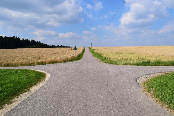 Landscape grass horizon sky Photo