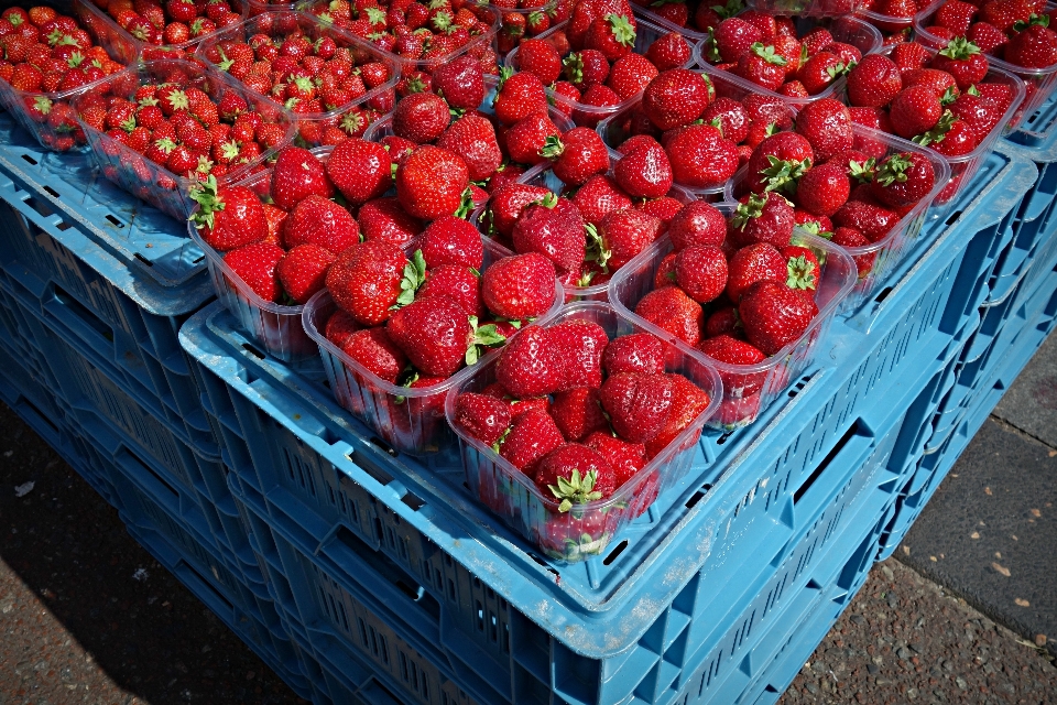 Plant fruit berry sweet