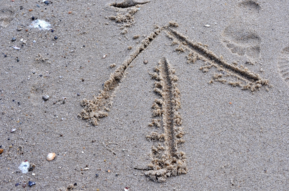 Strand sand rock holz