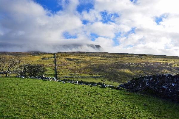 Landscape sea coast tree Photo