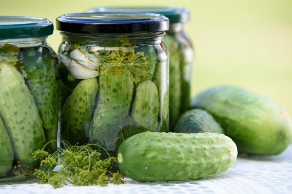 植物 食べ物 生産 野菜 写真