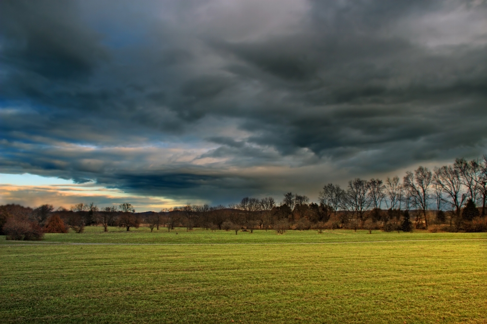 Landscape nature grass horizon