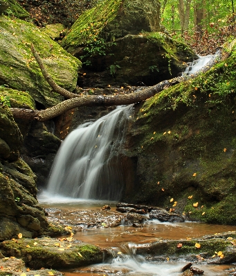 Landscape tree water nature Photo