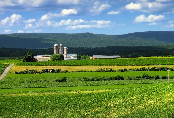 Landscape grass horizon mountain Photo