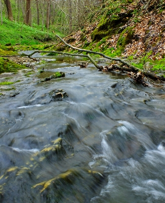 Water creek wilderness hiking Photo