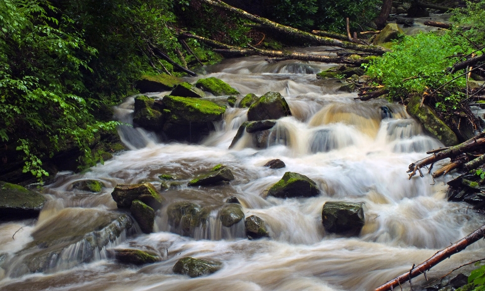 água natureza floresta cachoeira