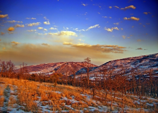 Landscape tree nature wilderness Photo