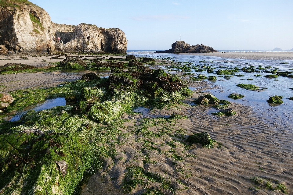 Spiaggia mare costa acqua