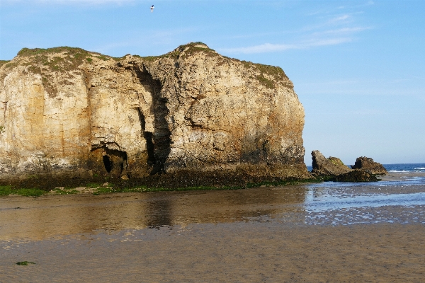 Beach sea coast water Photo