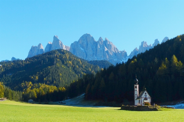 Foto árvore região selvagem
 montanha prado
