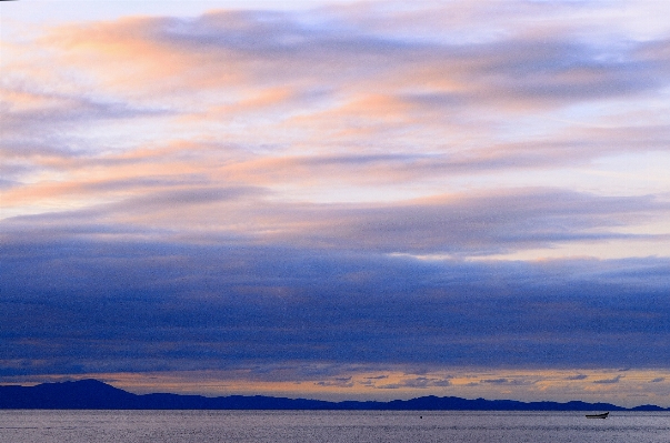 Beach sea coast ocean Photo