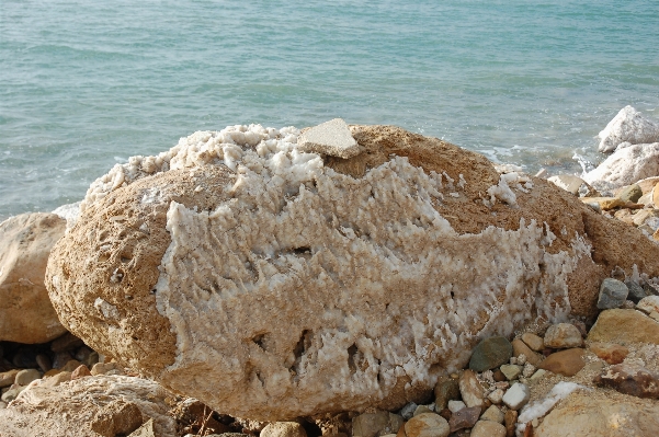 Foto Pantai laut pesisir air